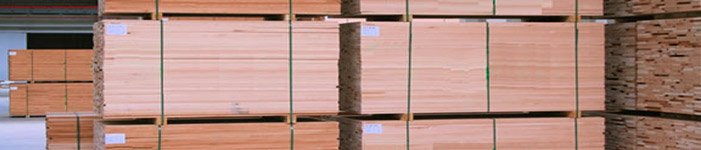 oikodomiki ksuleia timber